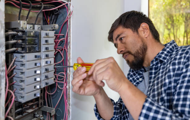 Best Electric Panel Repair  in Wilson, NC